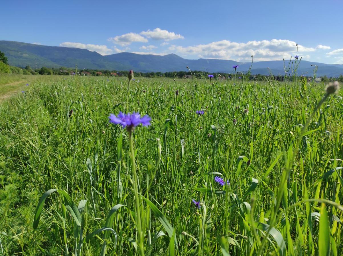 Willa Kolorowa Chata 6 Km Od Karpacza Myslakowice Bagian luar foto