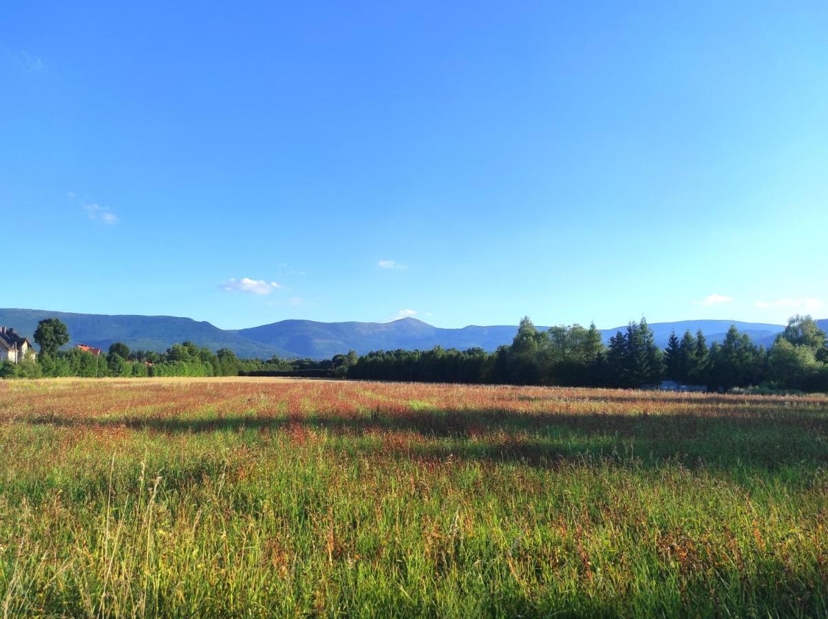 Willa Kolorowa Chata 6 Km Od Karpacza Myslakowice Bagian luar foto
