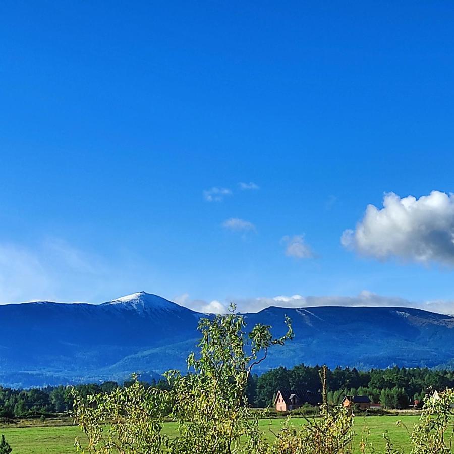 Willa Kolorowa Chata 6 Km Od Karpacza Myslakowice Bagian luar foto