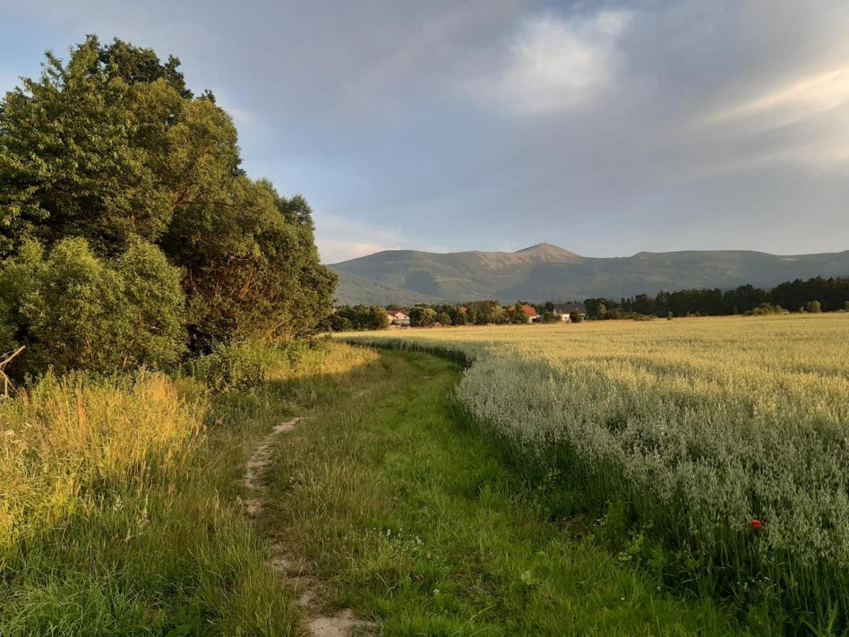 Willa Kolorowa Chata 6 Km Od Karpacza Myslakowice Bagian luar foto