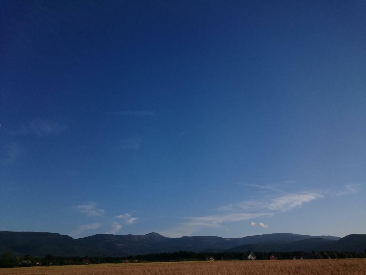Willa Kolorowa Chata 6 Km Od Karpacza Myslakowice Bagian luar foto